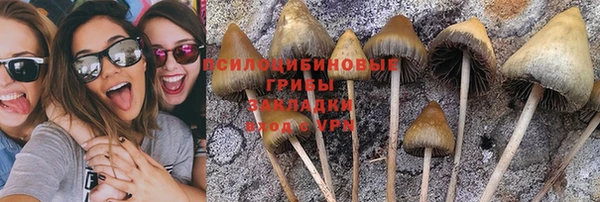 гидропоника Касимов