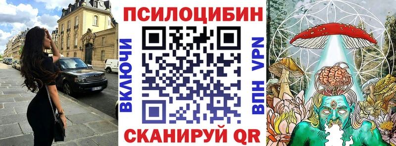 Купить закладки  Новоржев  Псилоцибиновые грибы мухоморы 